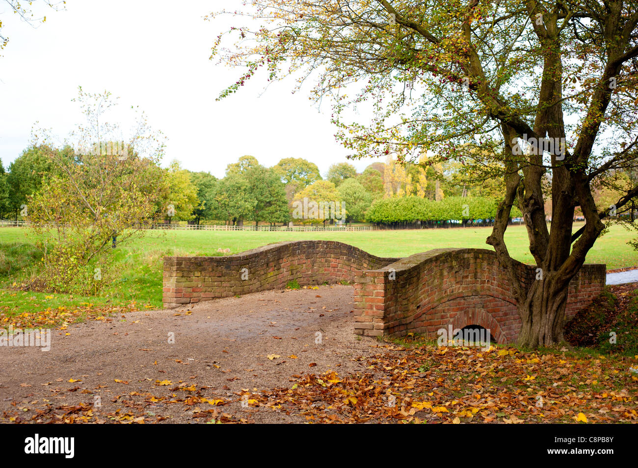 Autumn Fall over footbridge Stock Photo - Alamy