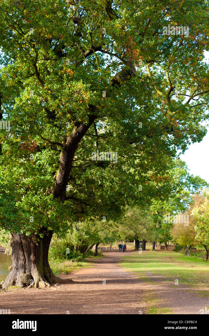 Autumn Fall Footpath Stock Photo - Alamy