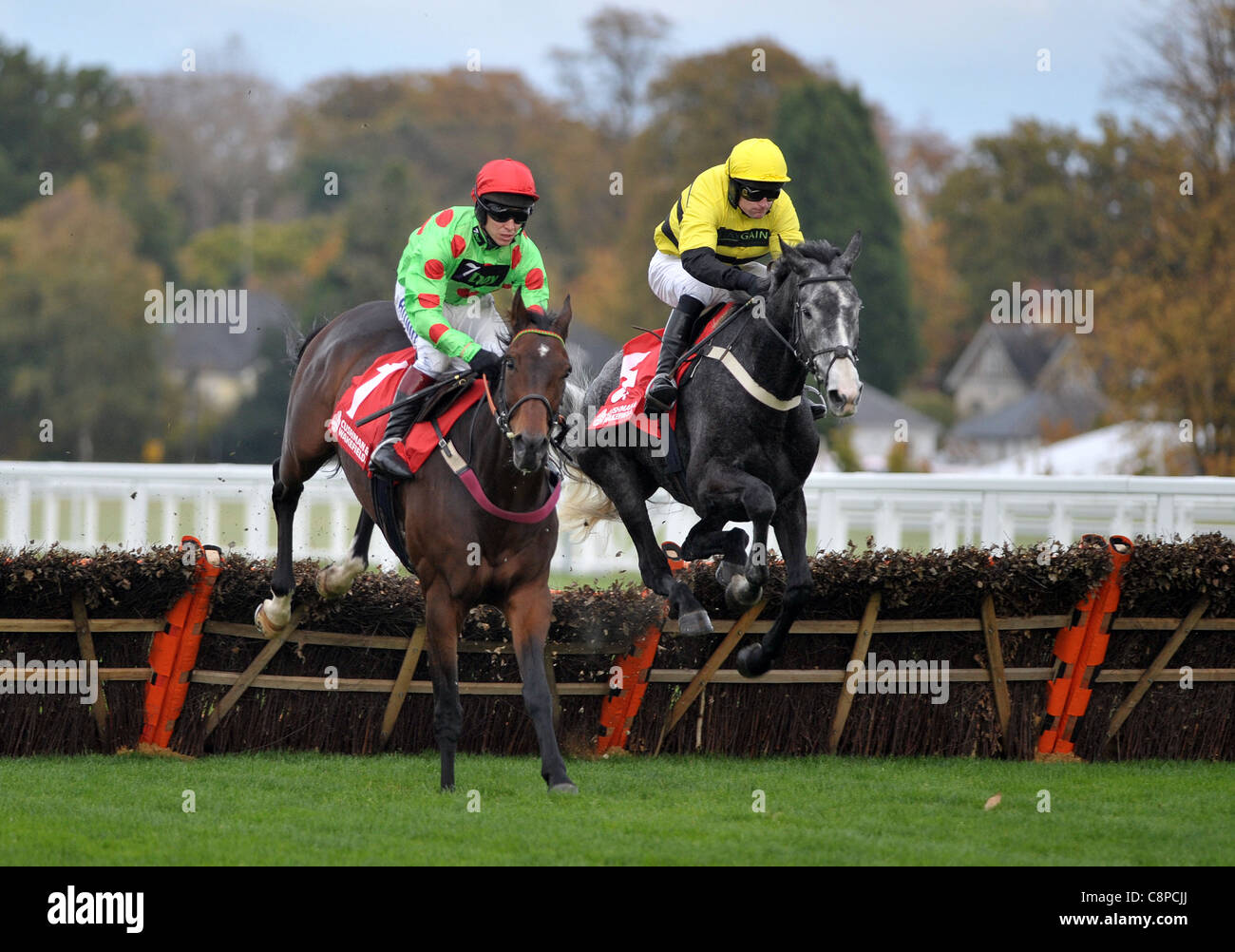 Court In Session ridden by Richard Johnson wins The Cushman & Wakefield Novices Hurdle at Ascot Racecourse, Ascot, Berkshire jumping the hurdle with Quix  ridden by Andrew Glassonbury- Stock Photo