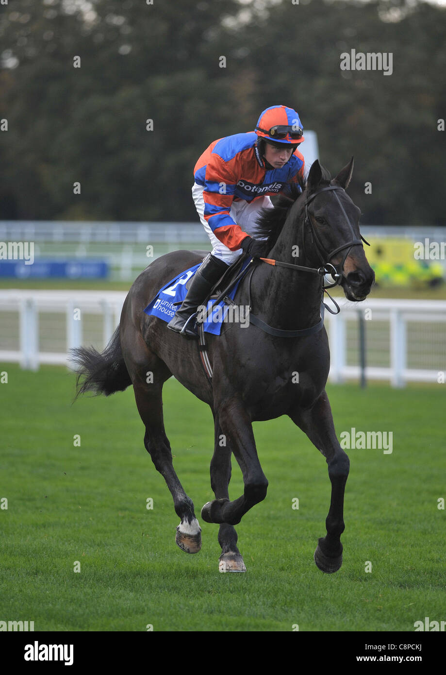 Jockey ryan mahon hi-res stock photography and images - Alamy