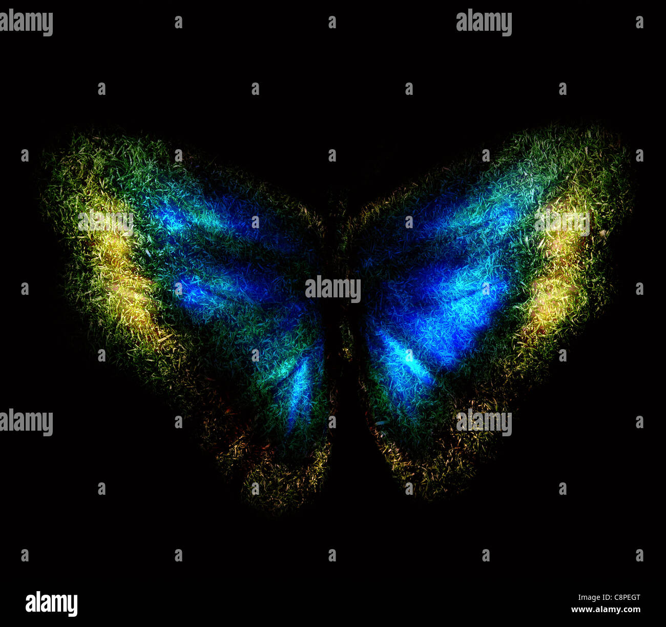 Blue abstract butterfly on a black background Stock Photo