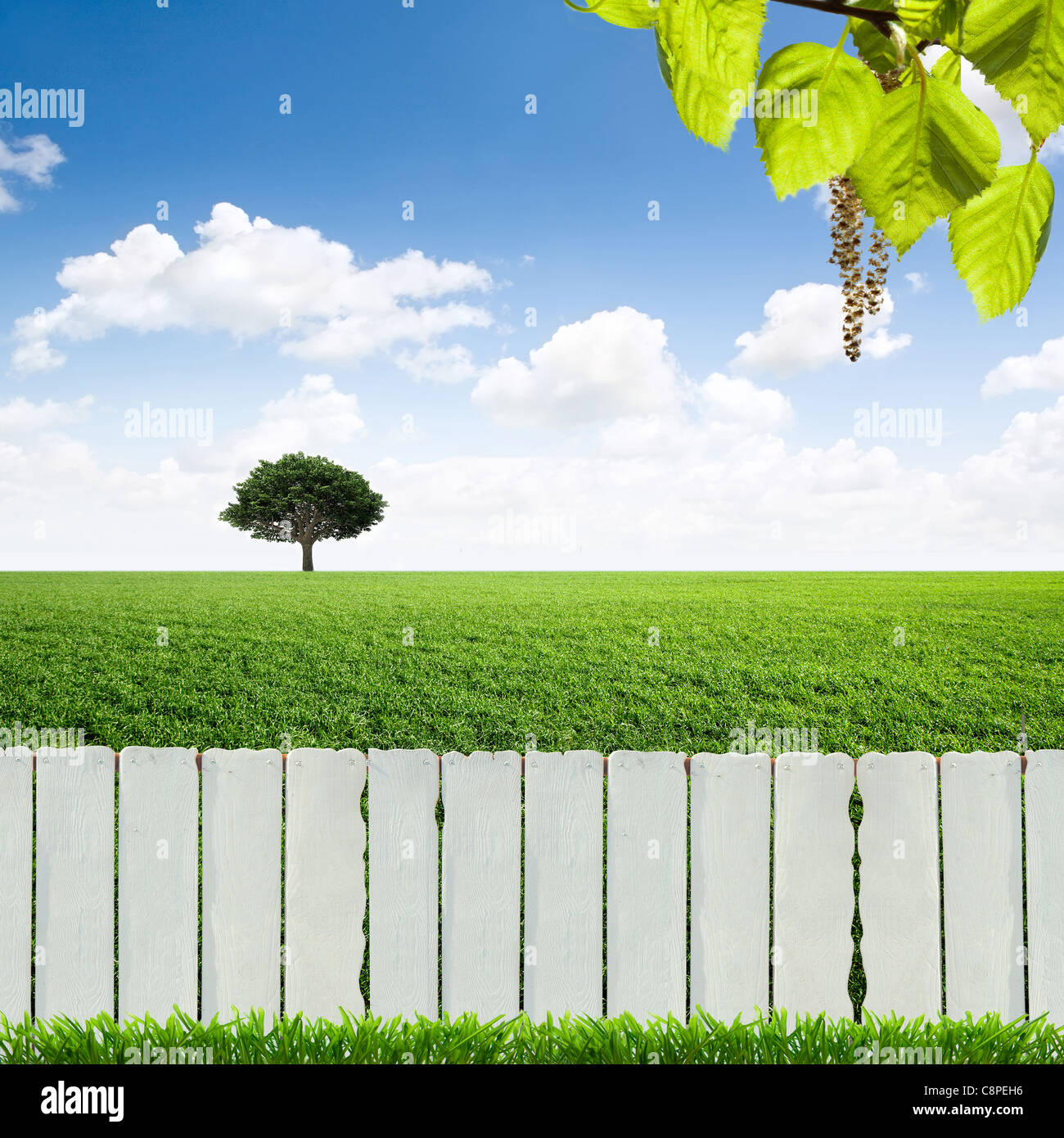 white fence and green grass Stock Photo - Alamy