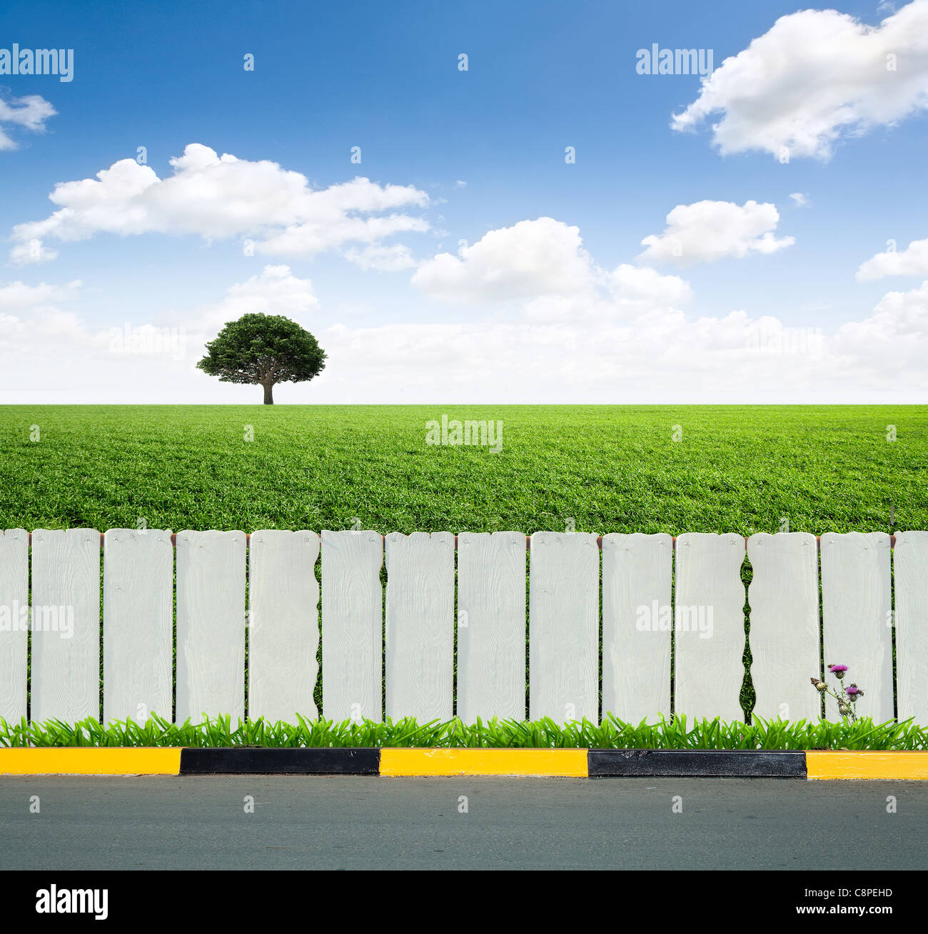 white fence and green grass Stock Photo - Alamy