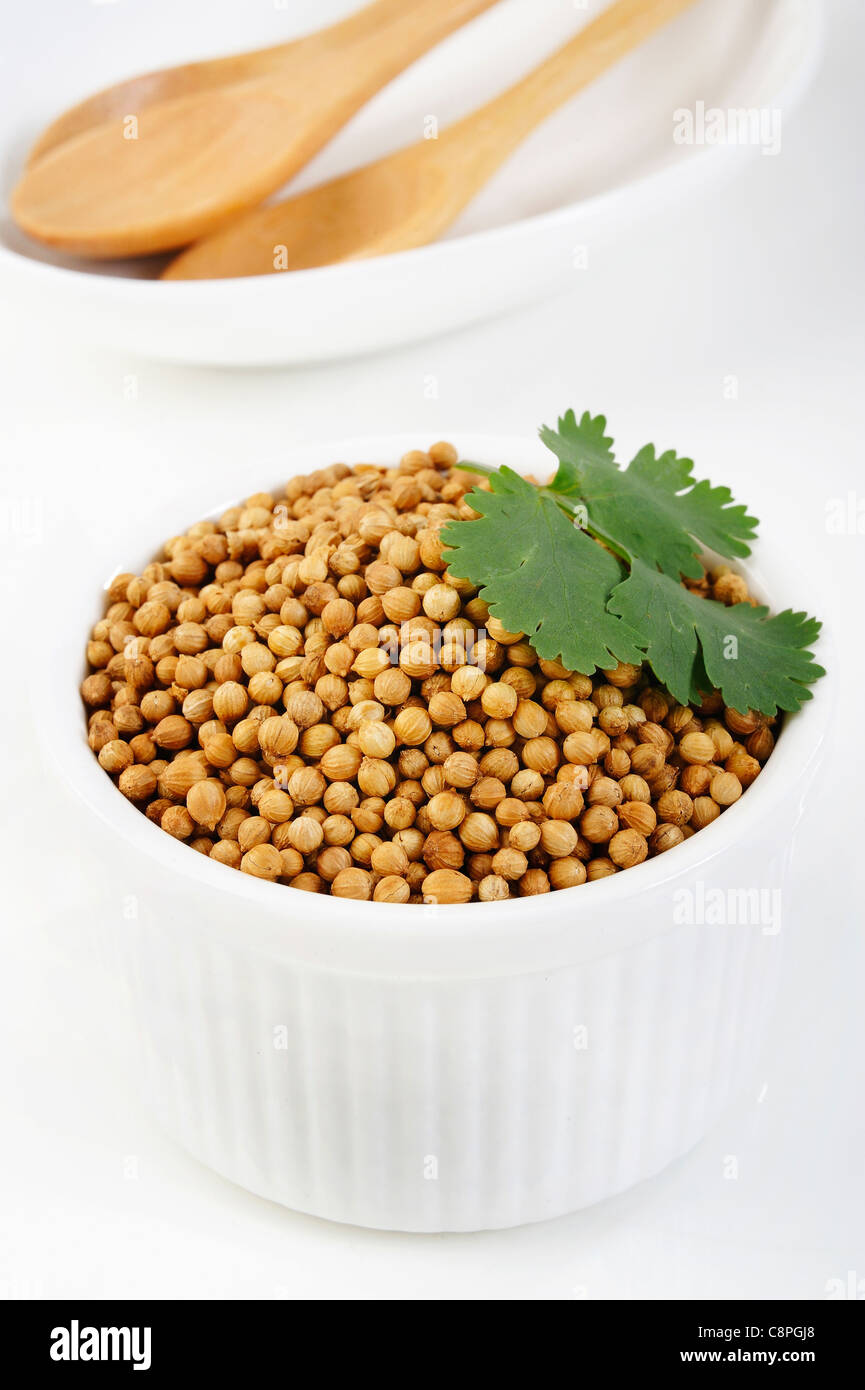 Coriander seeds in a cup Stock Photo