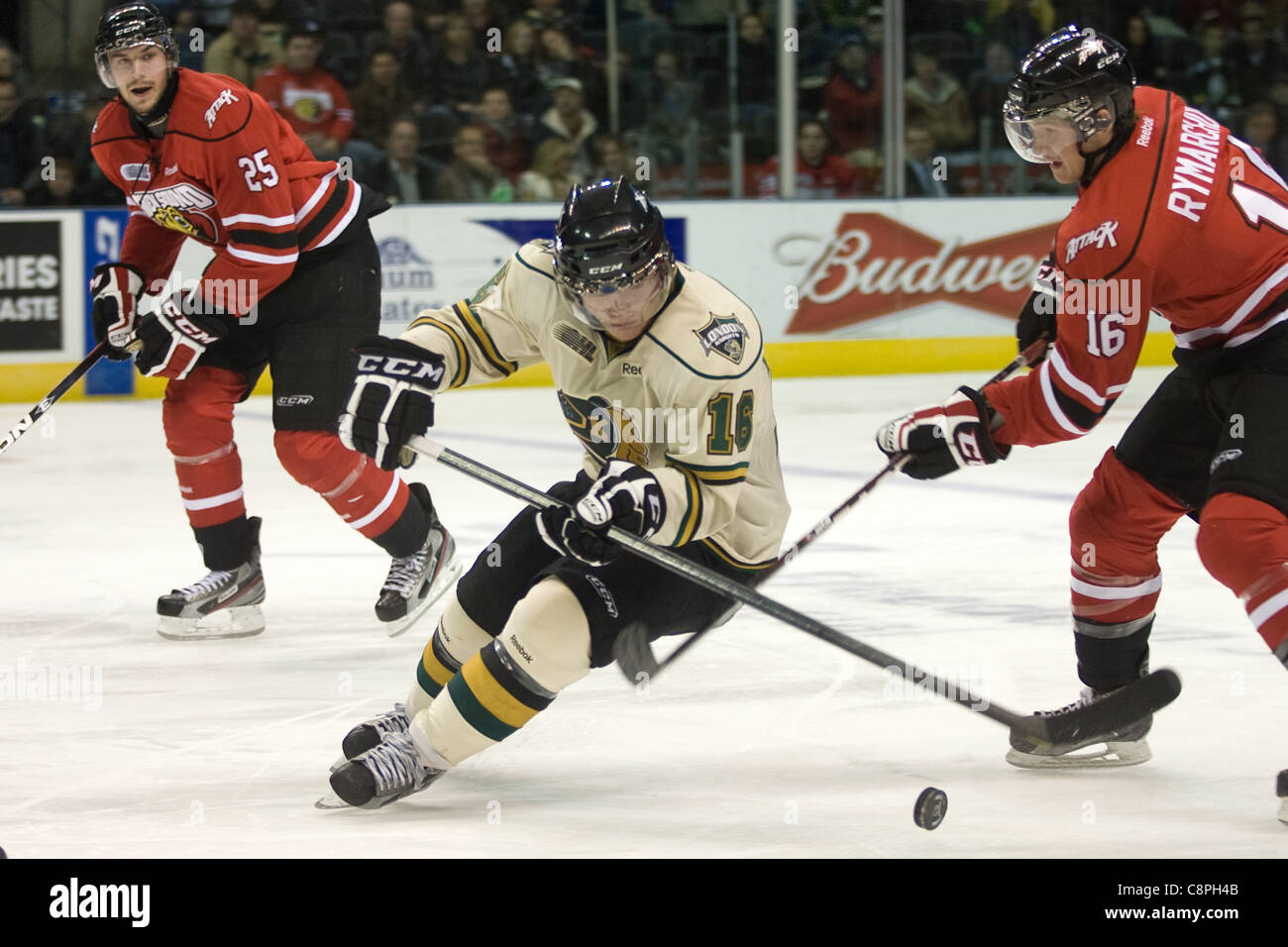 London Ontario, Canada - October 28, 2011. Max Domi (16) of the London Knights carries the puck between two Owen Sound Attack players Daniel Zweep (25) and Devon Rymarchuk (16). London won the game in overtime 3-2. Stock Photo