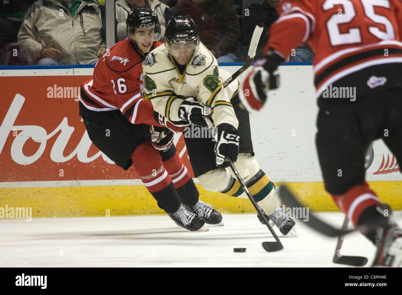 London Ontario, Canada - October 28, 2011. Andreas Athanasiou (86) of the London Knights battles against Geoffrey Schemitsch (26) of the Owen Sound Attack. London won the game in overtime 3-2. Stock Photo