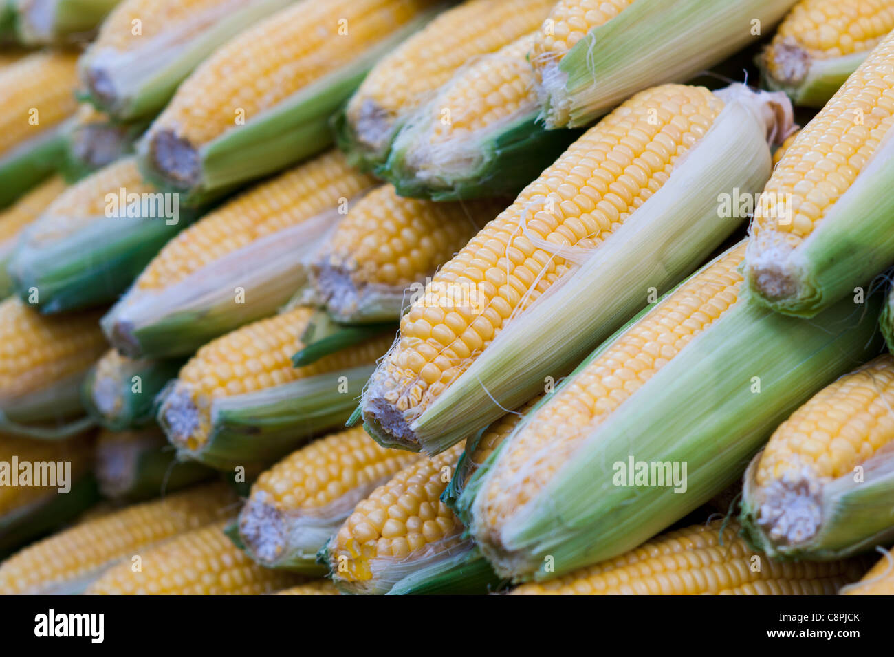 Corn in a food stand in the market. Stock Photo