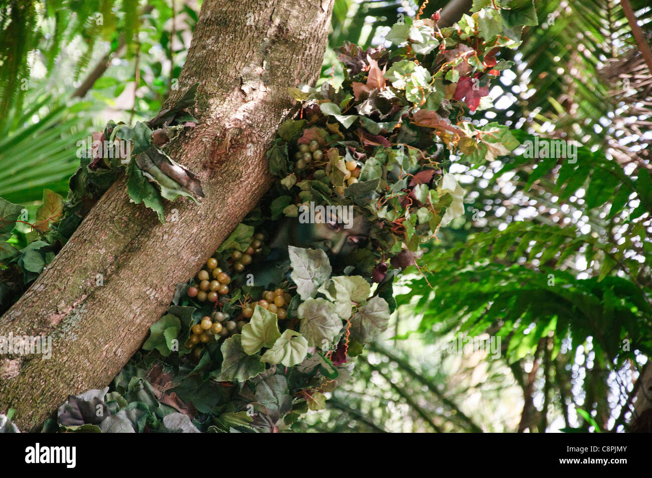 Tree animal kingdom walt disney hi-res stock photography and images - Alamy