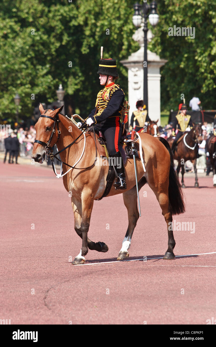 The King's Troop, Royal Horse Artillery at the Trooping of the Colour, London Stock Photo Alamy