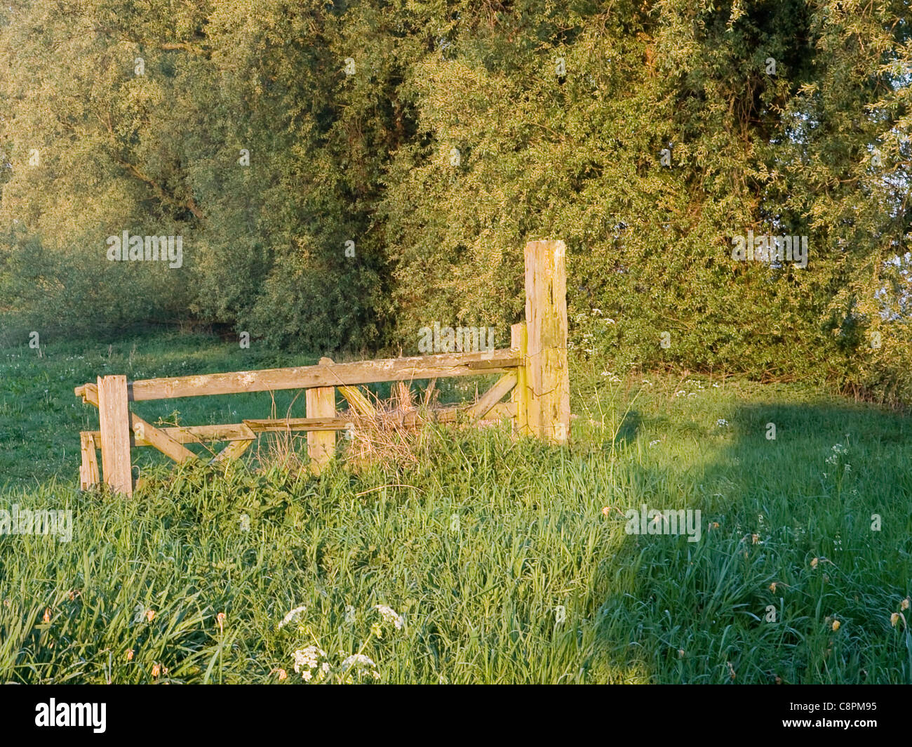 An old field gate Stock Photo