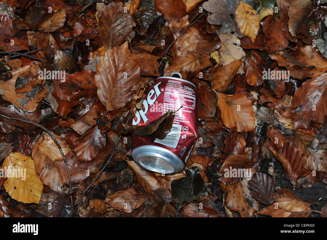 Tin can dumped in woodland park uk Stock Photo