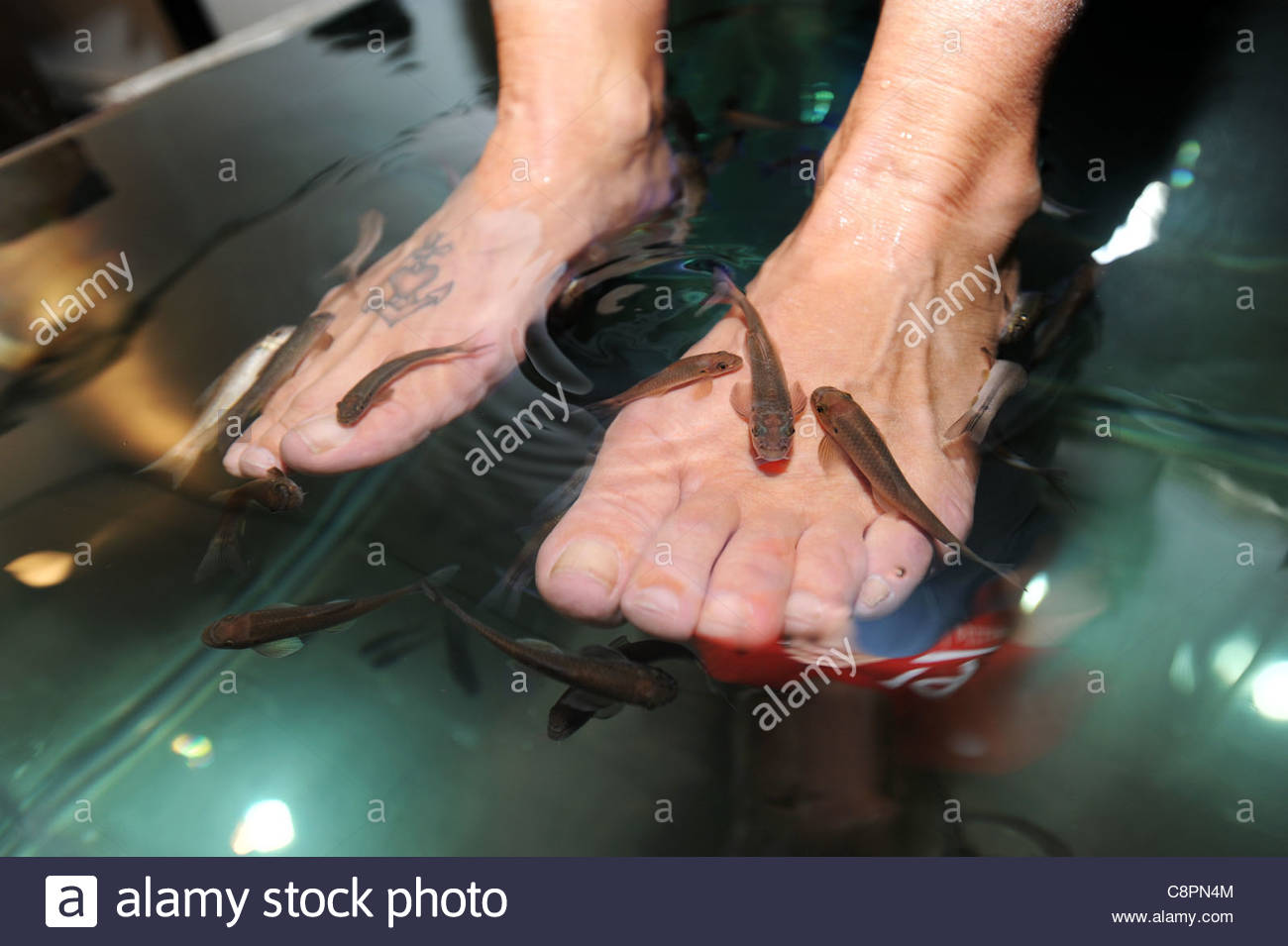 Doctor_fish High Resolution Stock Photography and Images - Alamy