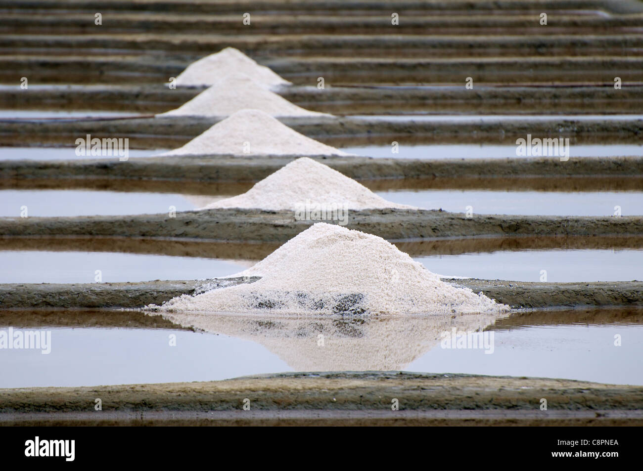 Fleur de sel (hand-harvested sea salt) skimmed of the salt beds close to Pont d'Armes in the Loire-Atlantique department. Stock Photo