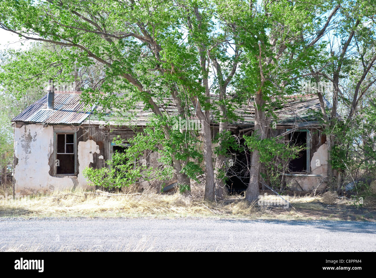 One of the many abandoned homes in Encino is overgrown with tall trees. Stock Photo