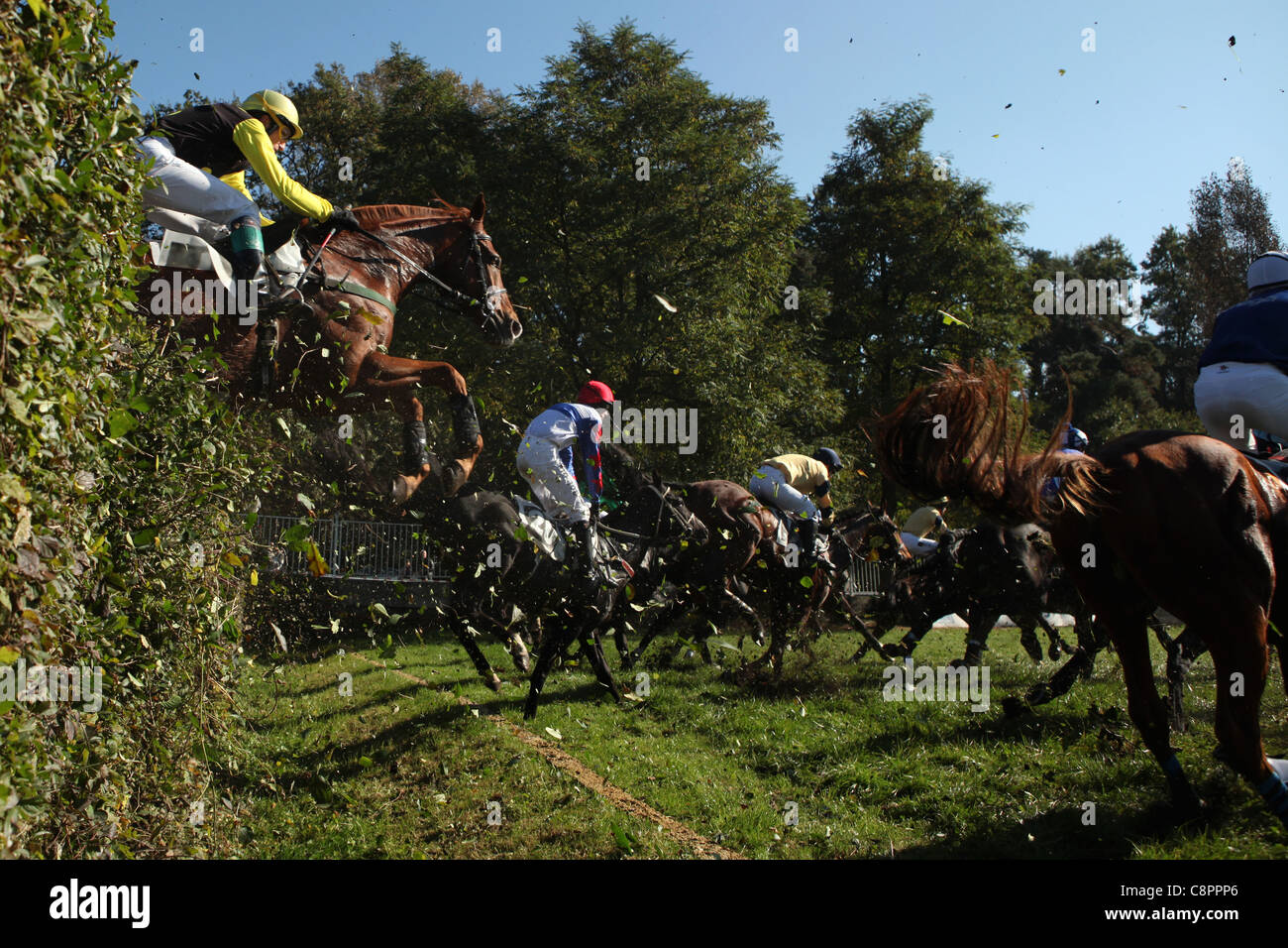 Famous annual steeplechase cross-country run Velka Pardubicka in Pardubice, Czech Republic on 10 October 2010. Stock Photo