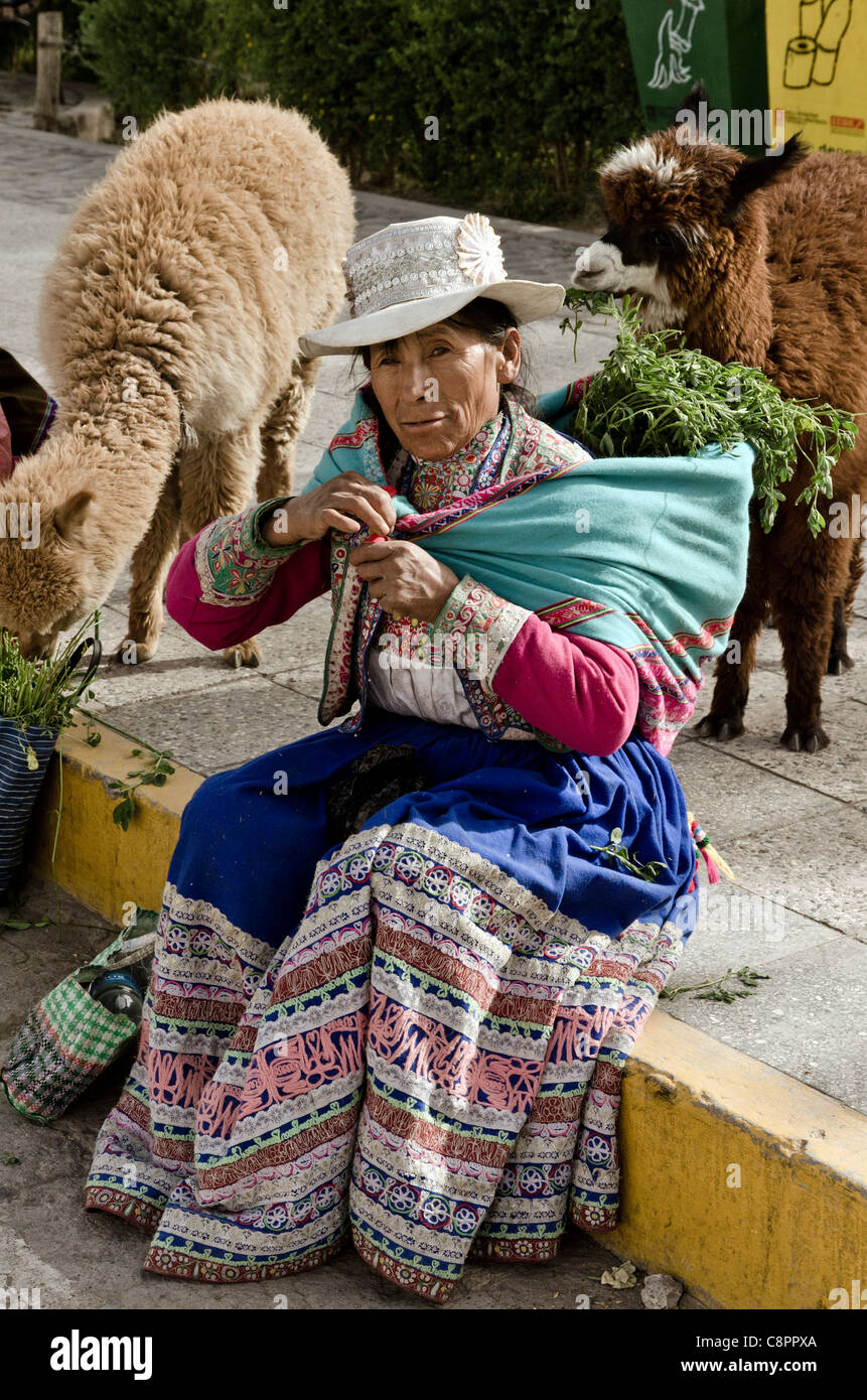 Peruvian woman wearing traditional costume with Alpaca Chivay Colca Canyon Peru Stock Photo