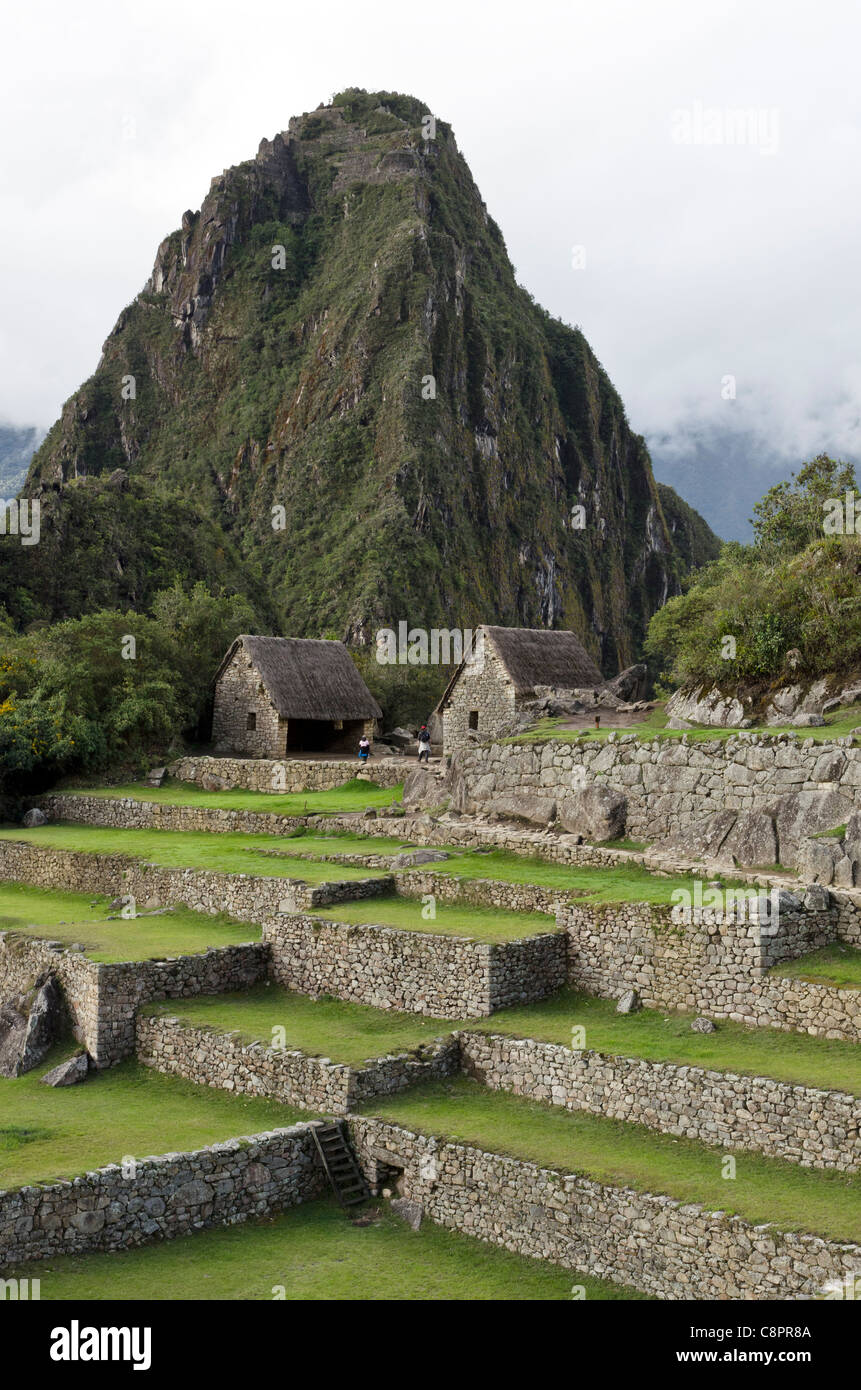 Inca terraces by Wayna Picchu Machu Picchu Cusco Peru Stock Photo