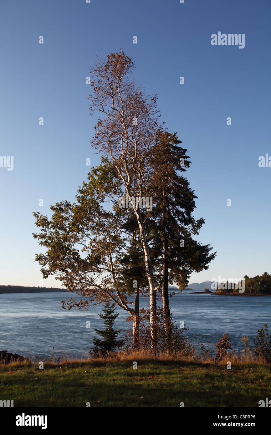 Down East Maine High Resolution Stock Photography and Images Alamy