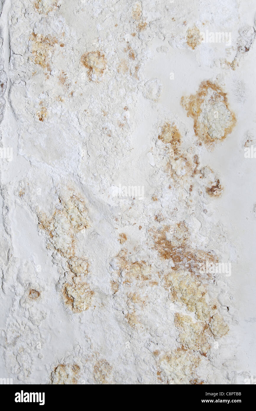 Mold On Wall Caused By Water Leak Under Floor Stock Photo