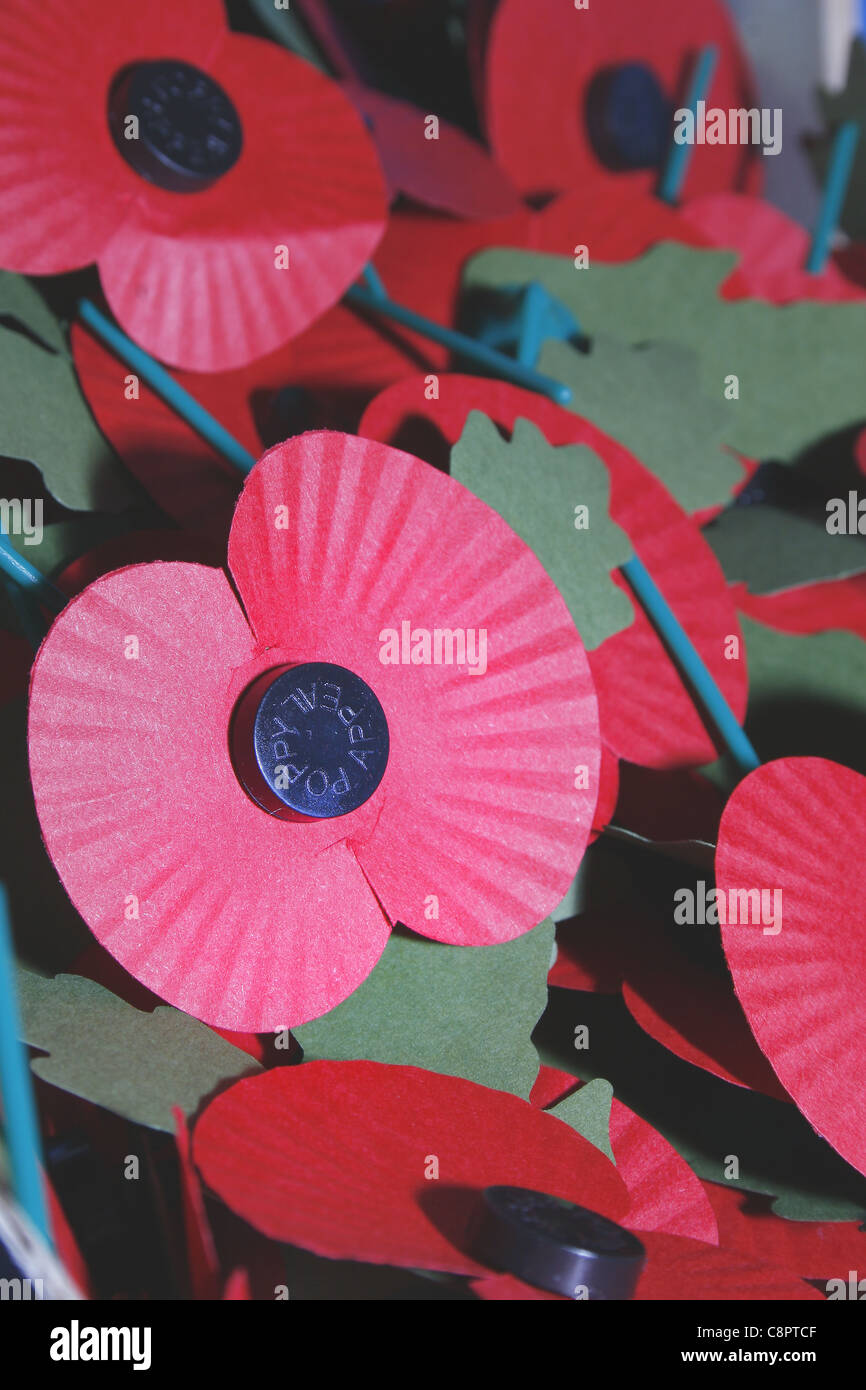 image of red poppies commemorating world war Stock Photo
