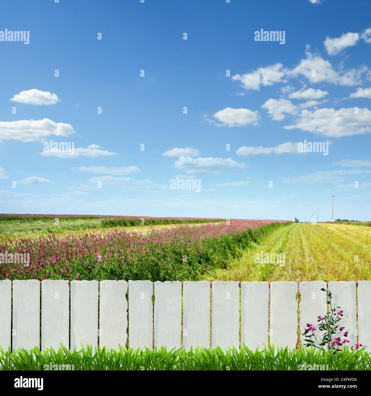 white fence and green grass Stock Photo - Alamy