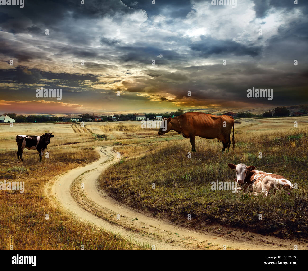 Road in field and stormy clouds Stock Photo - Alamy