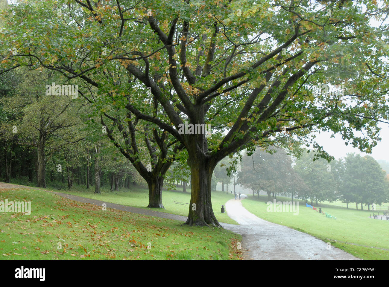 Great Britain, Wales, Pontypool, Pontypool Park Stock Photo Alamy