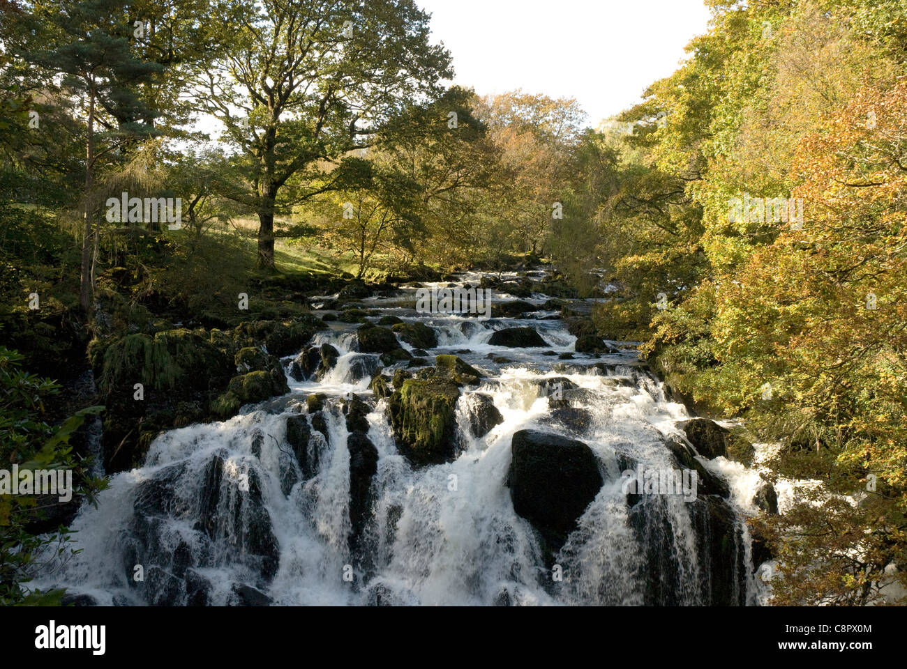 Great Britain, Wales, Swallow Falls near Betws-y-Coed, Snowdonia Stock Photo