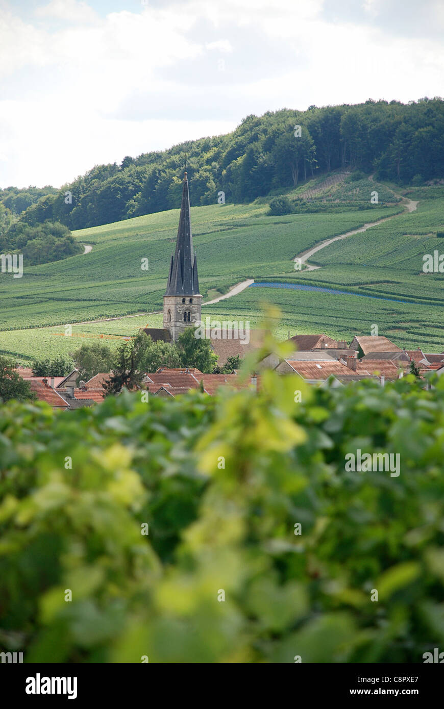 France Champagne Montagne De Reims Village Of Ecueil