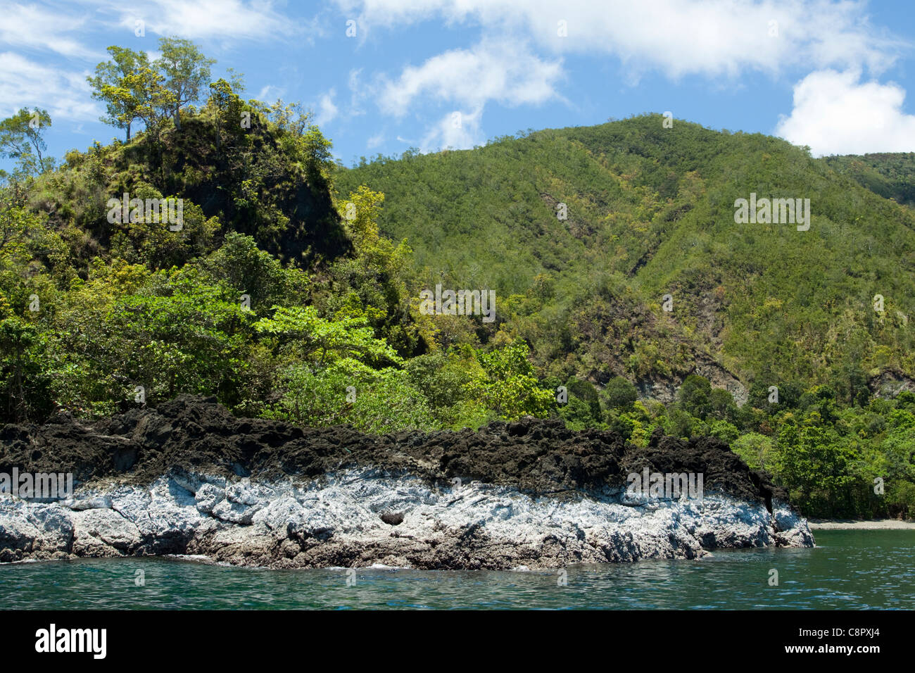 Shoreline in Ambon, Indonesia showing lush rainforest and Volcanic rock. Stock Photo