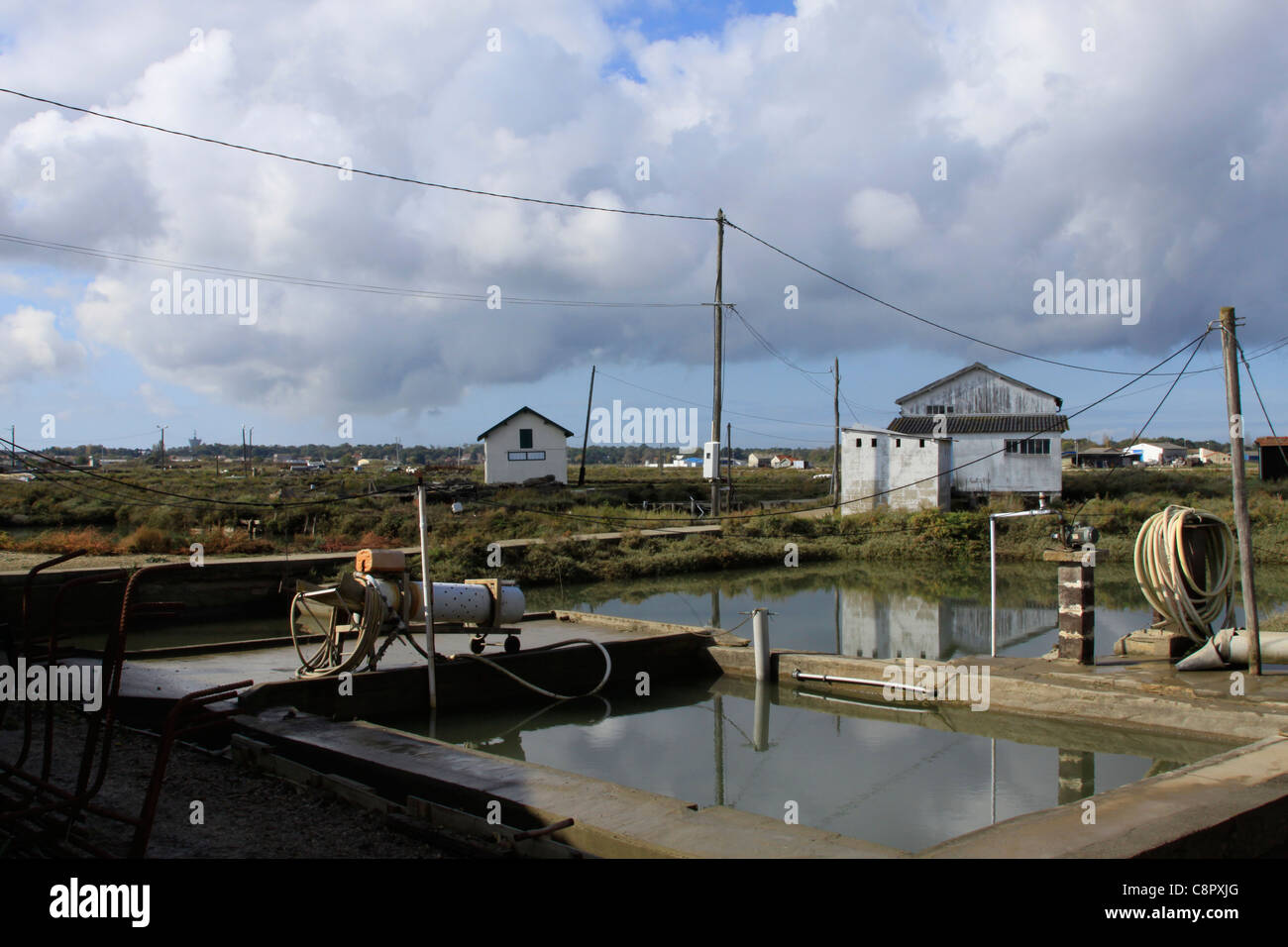 Oyster culture hires stock photography and images Alamy