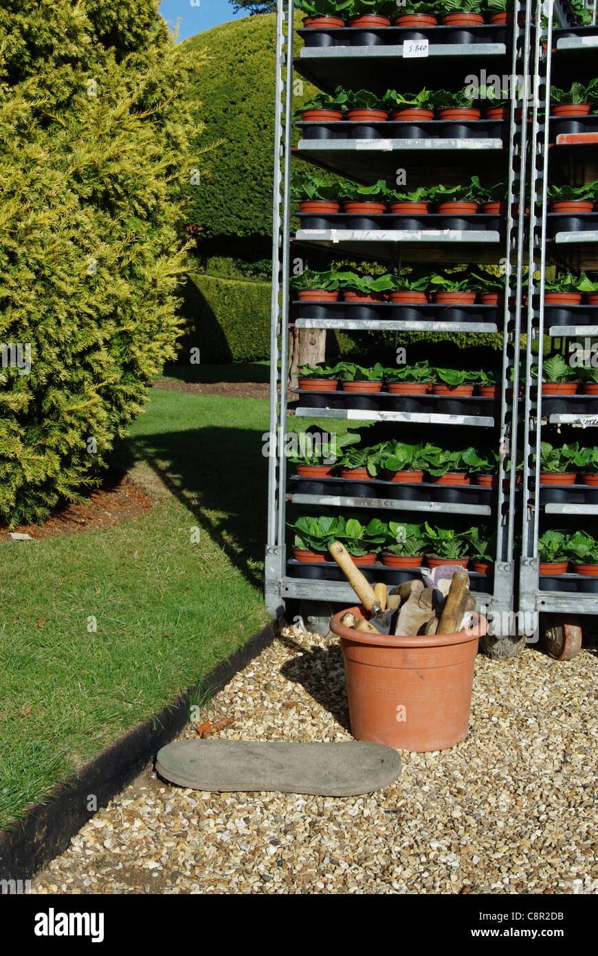 Planted trays hires stock photography and images Alamy