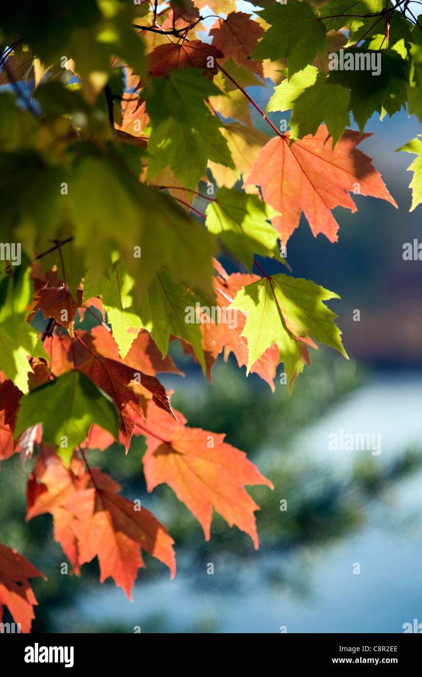 Lake Julian Asheville, North Carolina USA Stock Photo Alamy