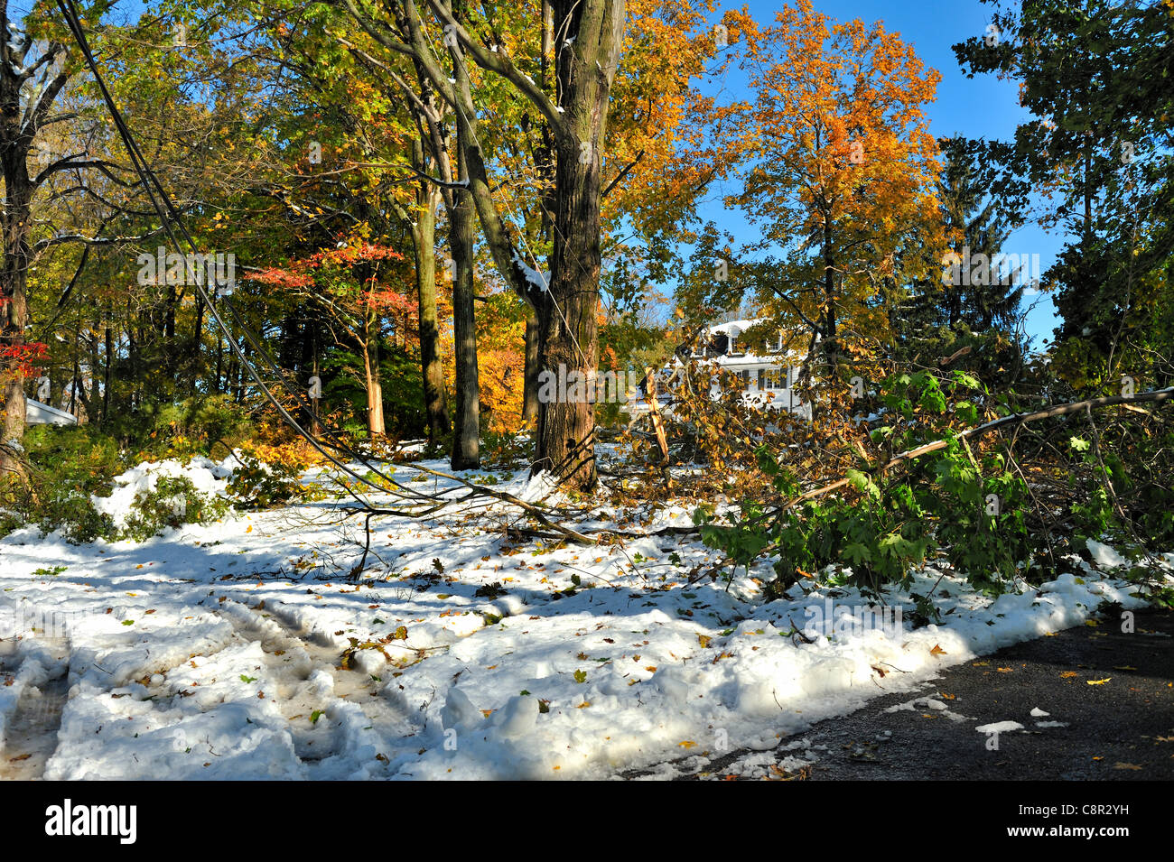 Damage and destruction from a surprise autumn snowstorm in New York