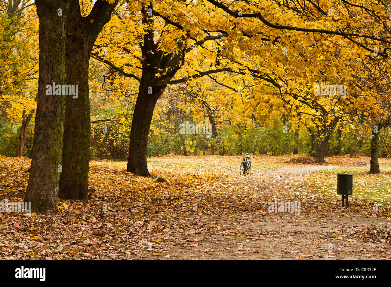 Autumn in the park. A bike parked on the path. Stock Photo
