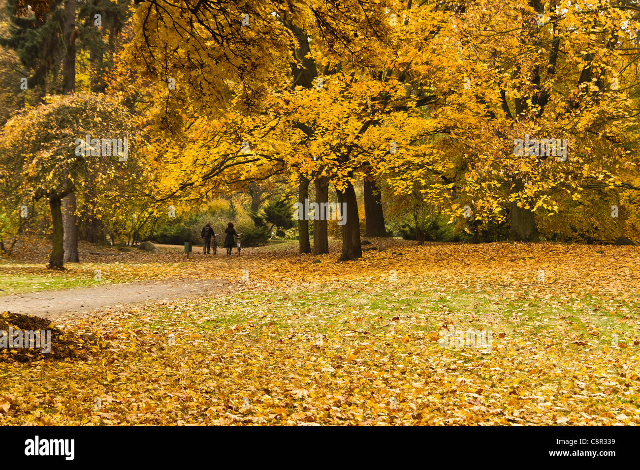 Autumn in the park. Two people with bikes. Stock Photo