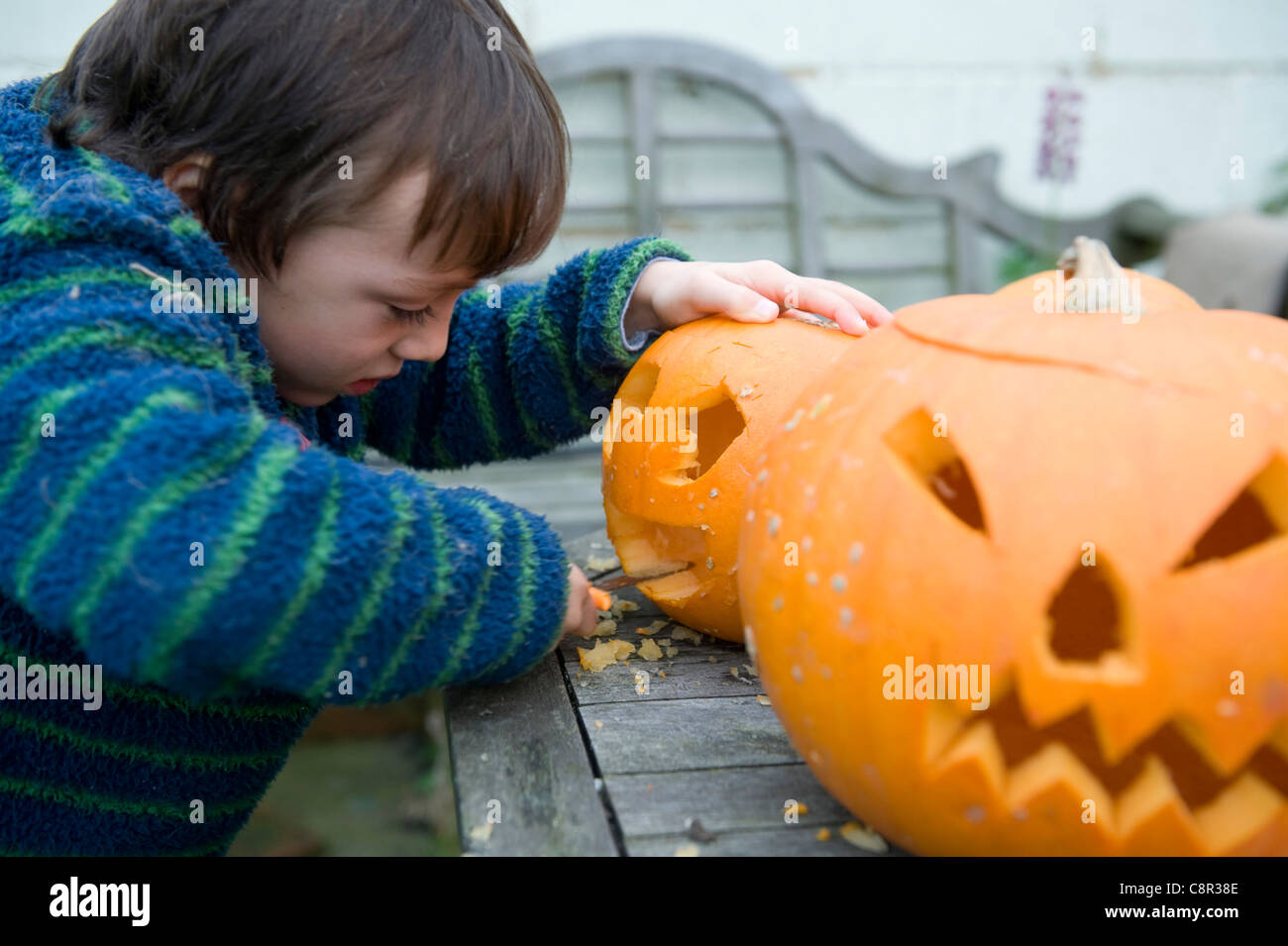 6 Year Old Boy In York North Yorkshire Carving A Pumpkin For Halloween
