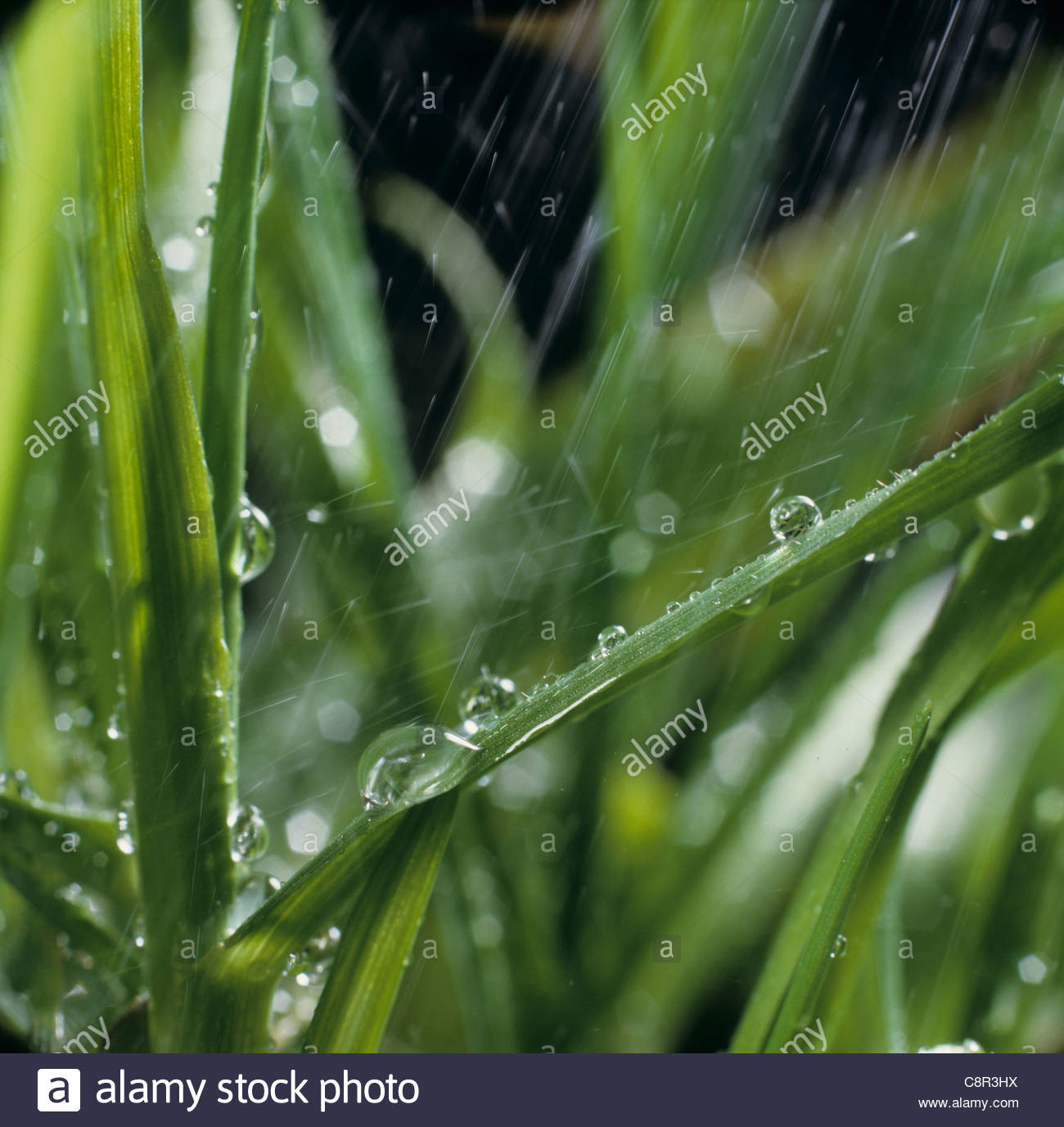 Falling Water Stock Photos & Falling Water Stock Images - Alamy