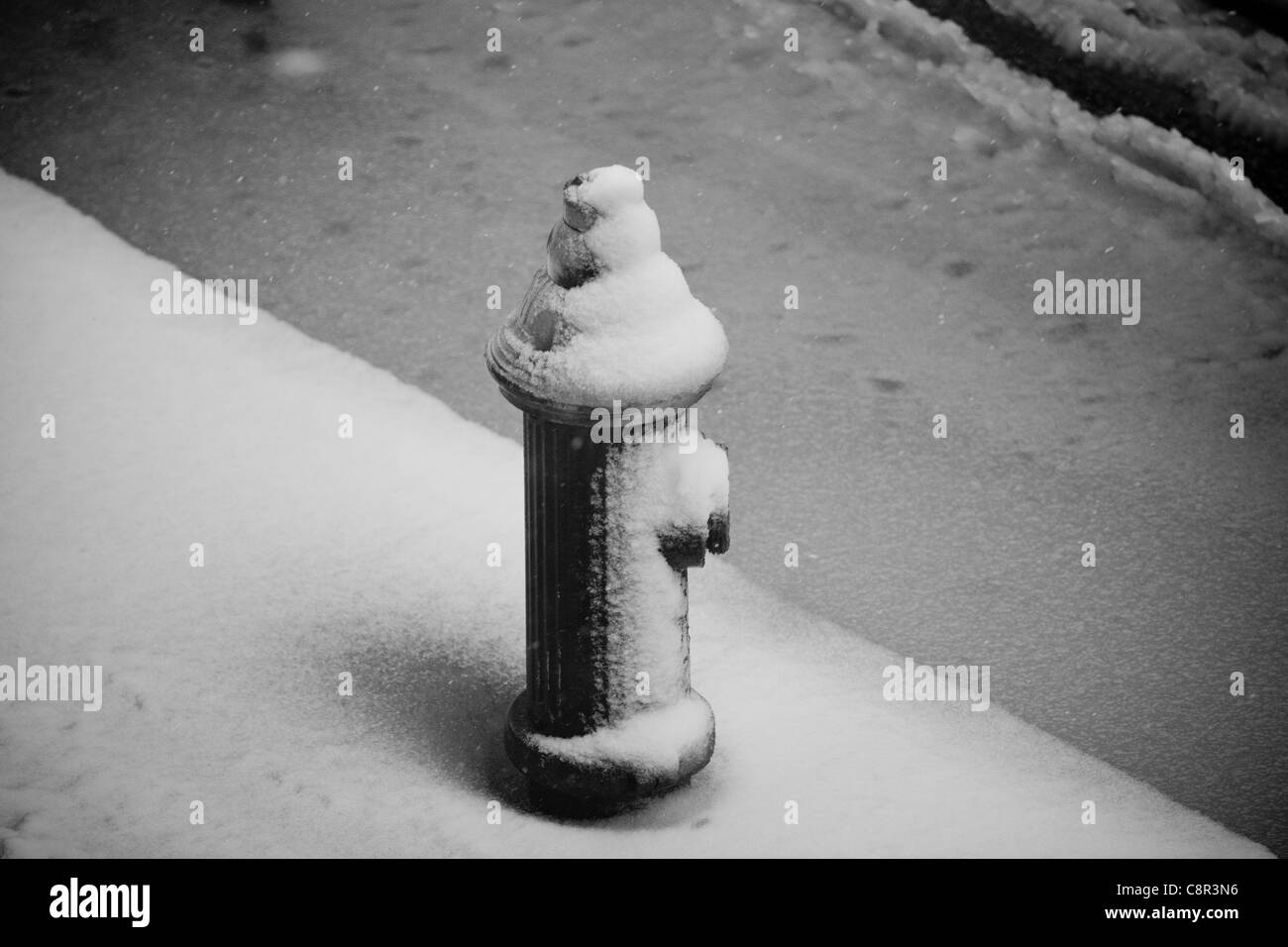 Fire hydrant covered in snow in New York Stock Photo
