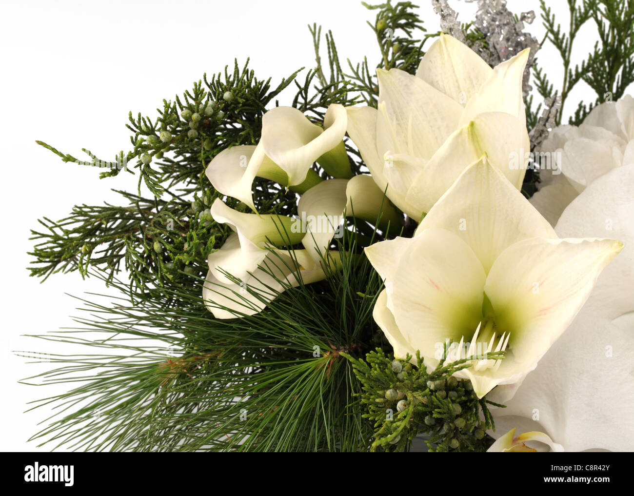A close-up of a white bouquet of flowers. White calla lilies, white Veronica [Hebe], green juniper Stock Photo