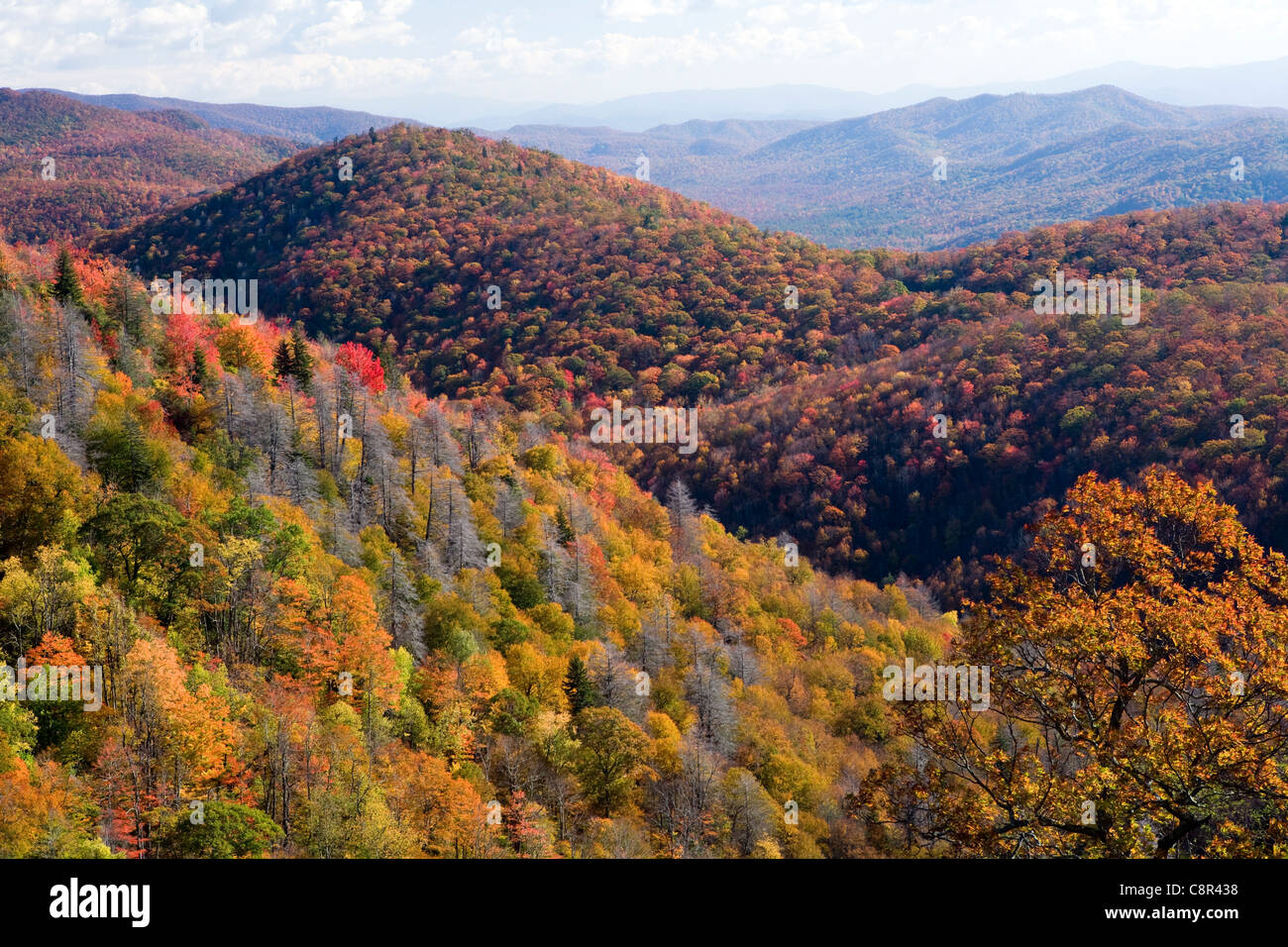 Autumn in Blue Ridge Mountains - near Asheville, North Carolina USA Stock Photo