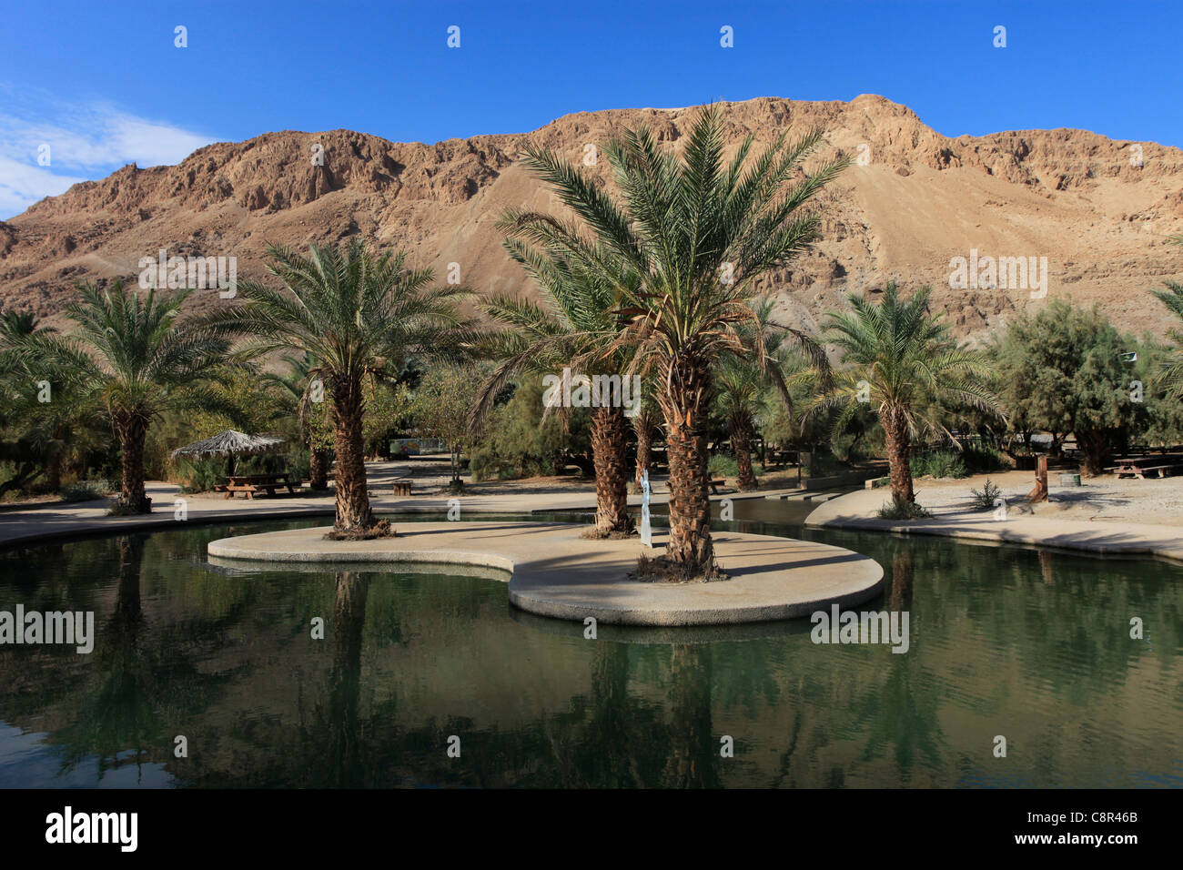 Ein feshkha nature reserve hires stock photography and images Alamy