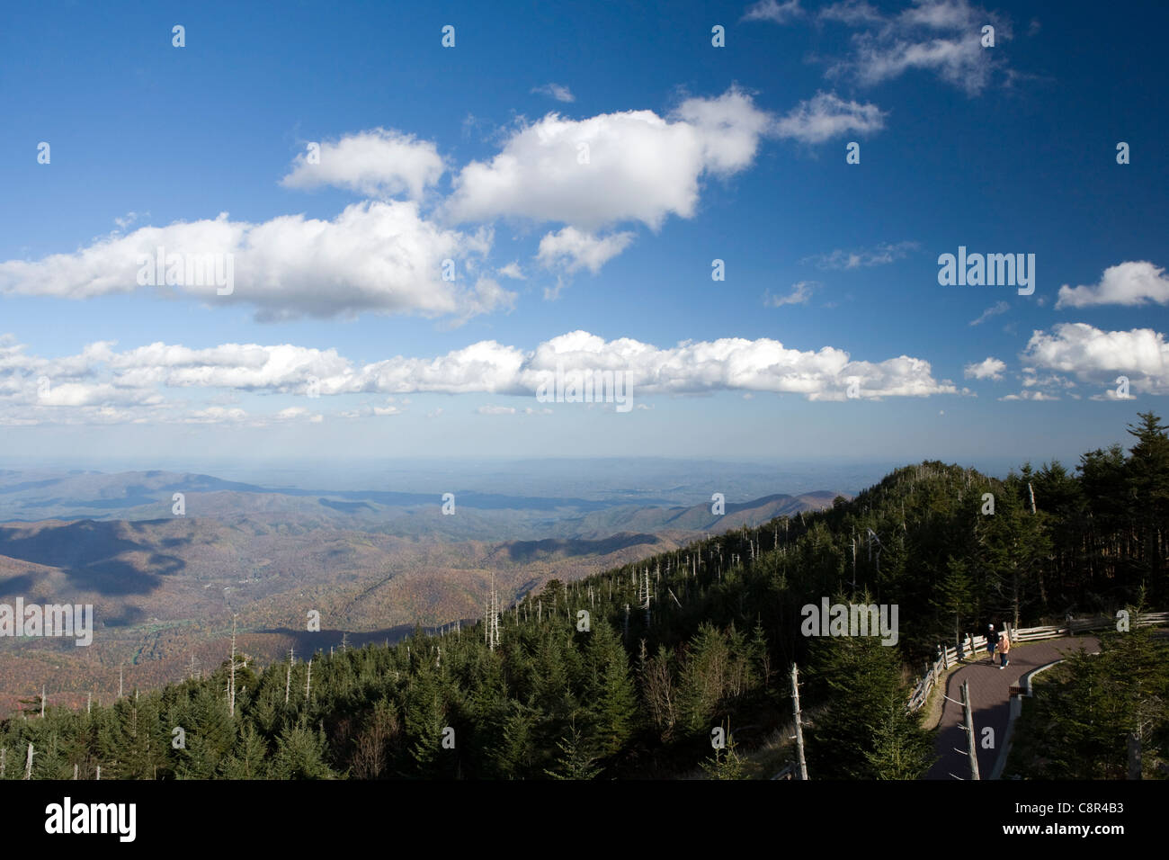 View from Summit at Mount Mitchell State Park - Blue Ridge Parkway - near Burnsville, North Carolina USA Stock Photo