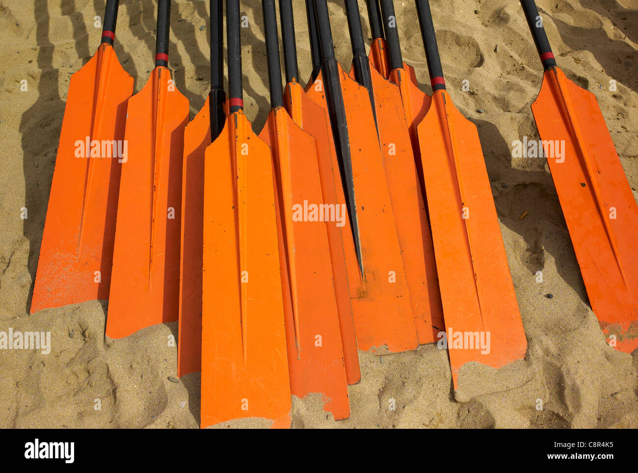 Canoe rower hi-res stock photography and images - Alamy