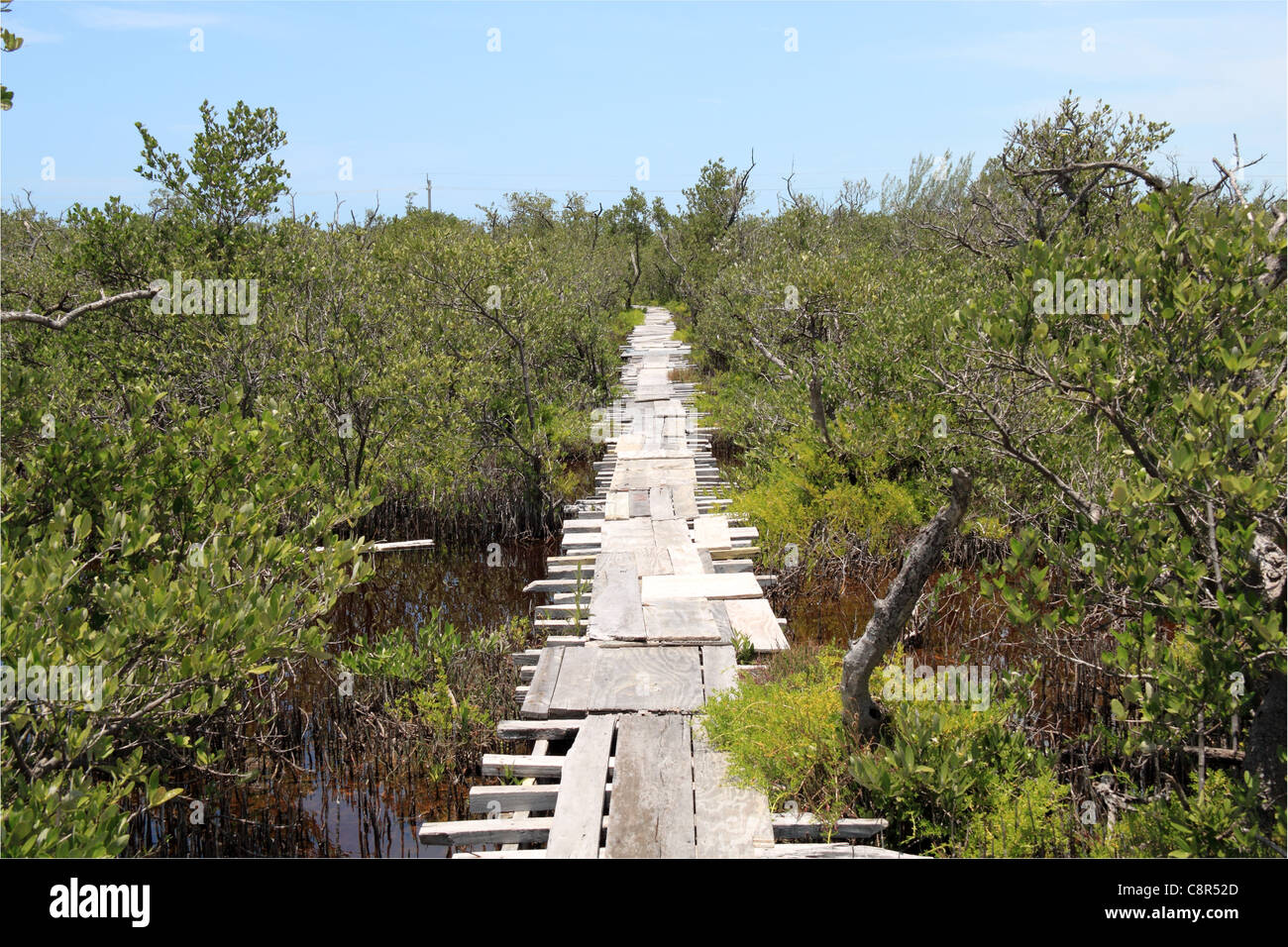 Boardwalk access to Marco Gonzales mayan ruins near San Pedro, Ambergris Caye, Barrier Reef, Belize, Caribbean, Central America Stock Photo
