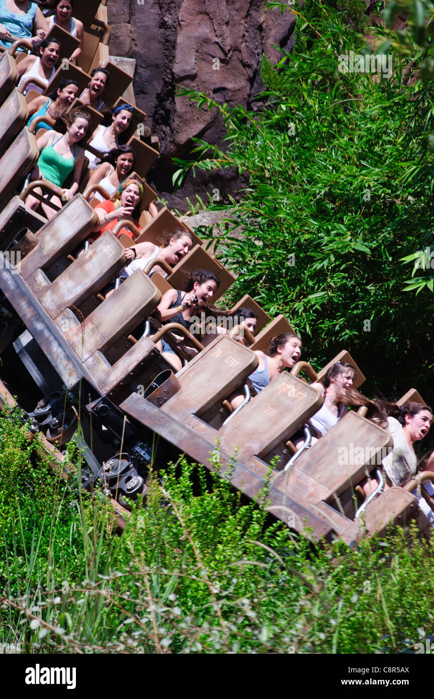 Expedition Everest in the Asia area of Disney's Animal Kingdom theme park is a high-altitude, high-speed, roller coaster train Stock Photo