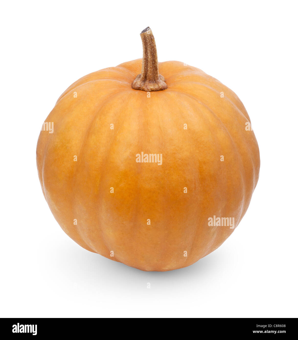 Pumpkin isolated on white background Stock Photo - Alamy