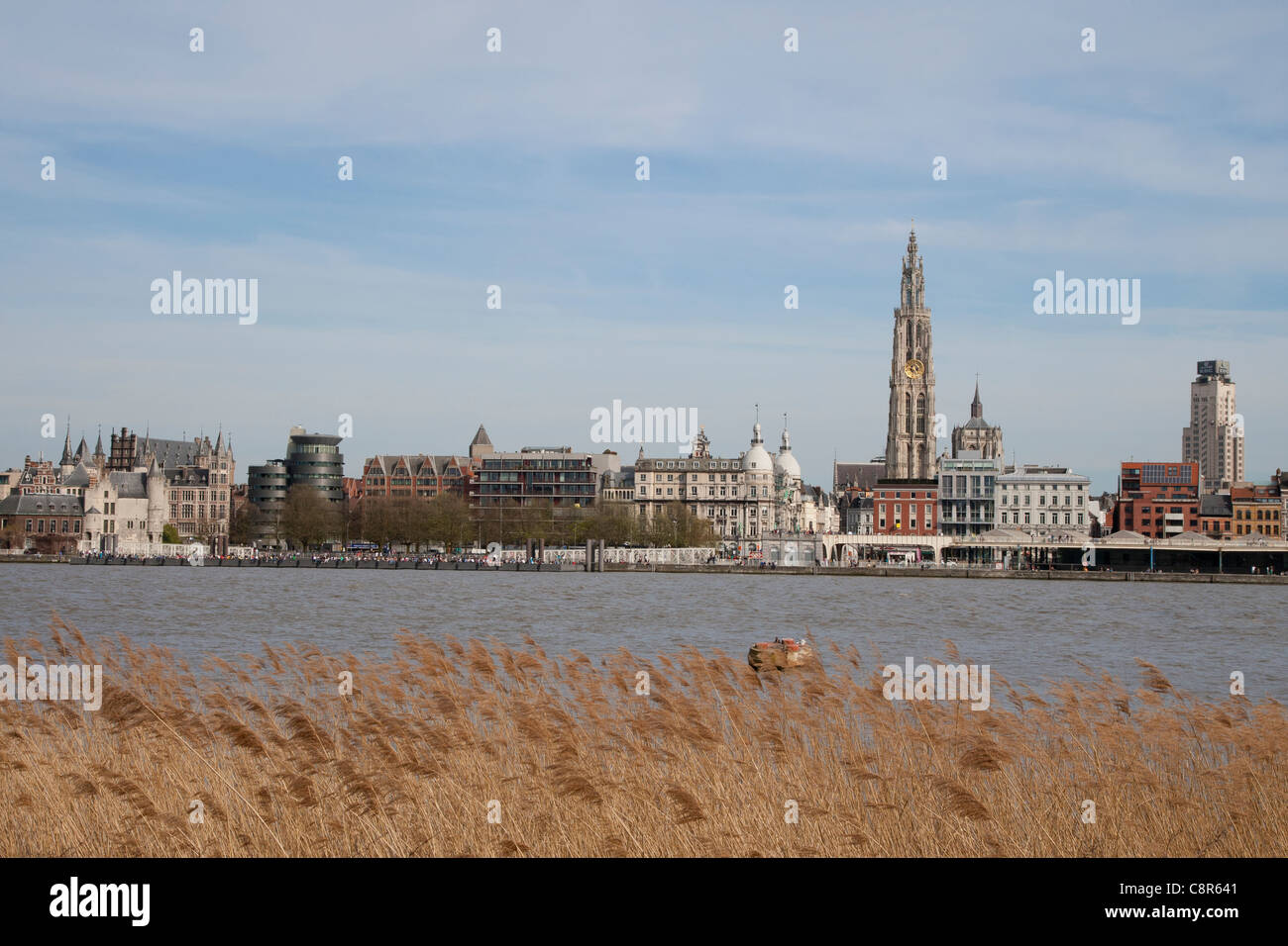 Schelde Rivier The Schelde River Antwerp High Resolution Stock Photography and Images ...