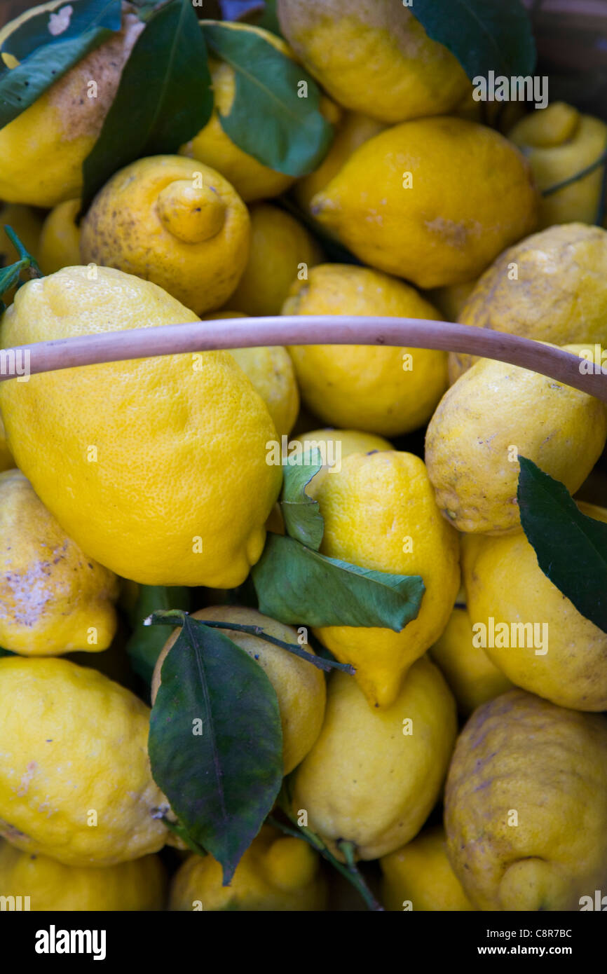 basket sweet lemon