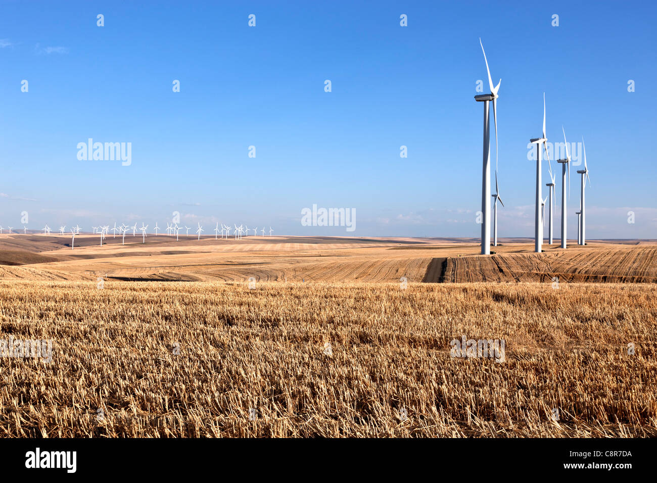 Wind farm, turbines, wheat stubble. Stock Photo